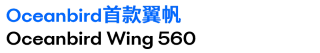 Oceanbird首款翼帆.png